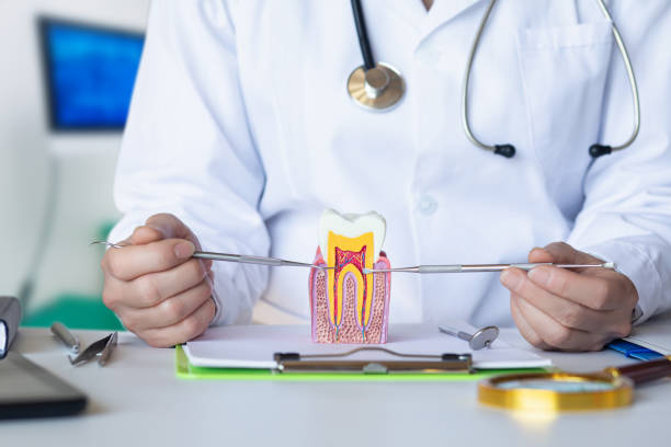 Best Emergency TMJ Treatment in Roy, UT